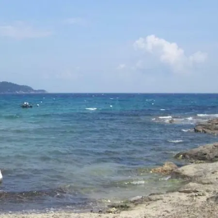Willa Des Oliviers Le Lavandou